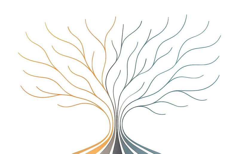 Search Params Are State Header